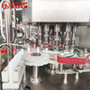 Oral liquid filling machine gas washing bottle filling line